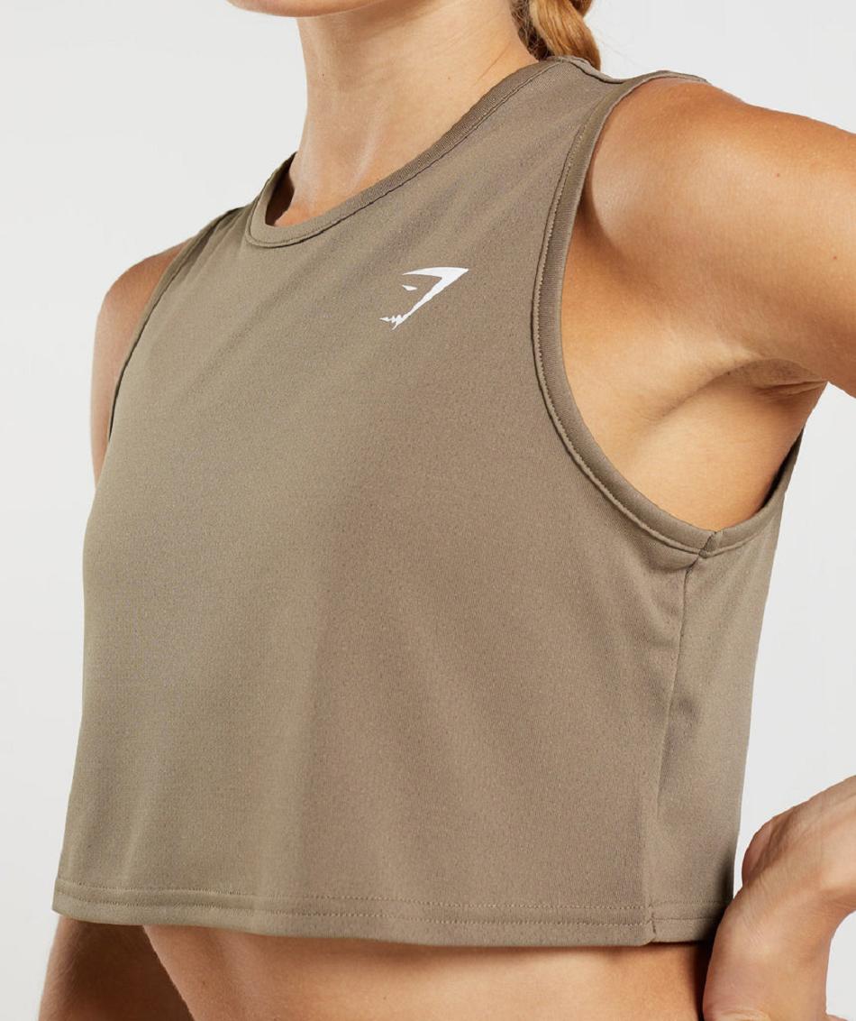 Podkoszulki Damskie Gymshark Treningowe Crop Brązowe | PL 3051DFM